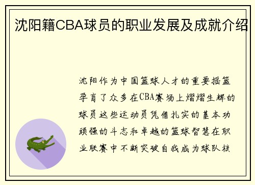 沈阳籍CBA球员的职业发展及成就介绍